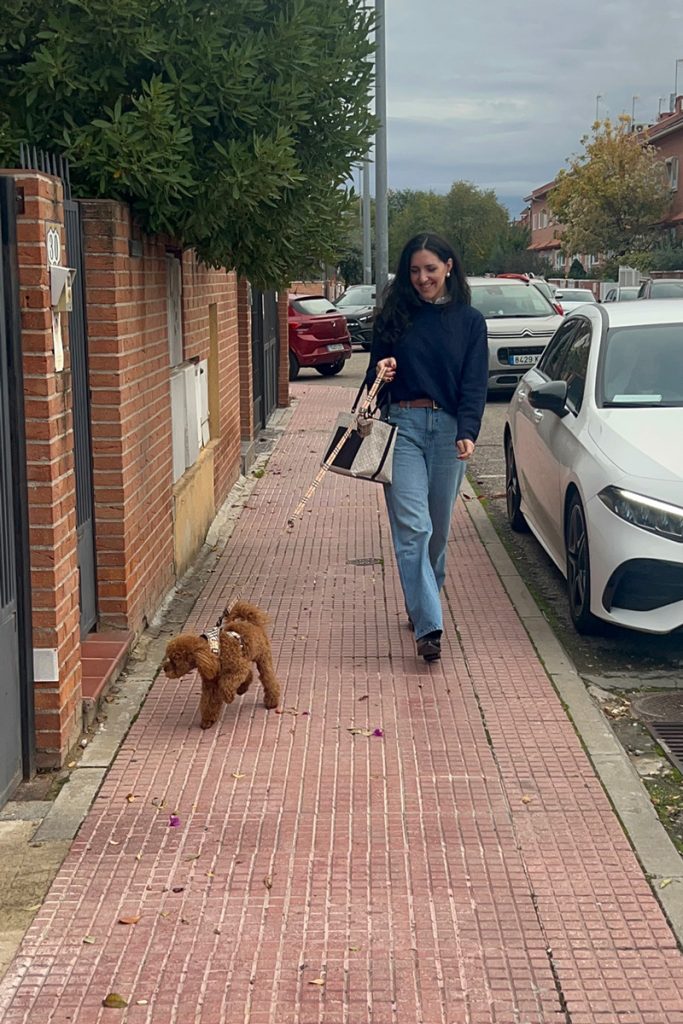 corte pelo coco caniche toy studio stilo