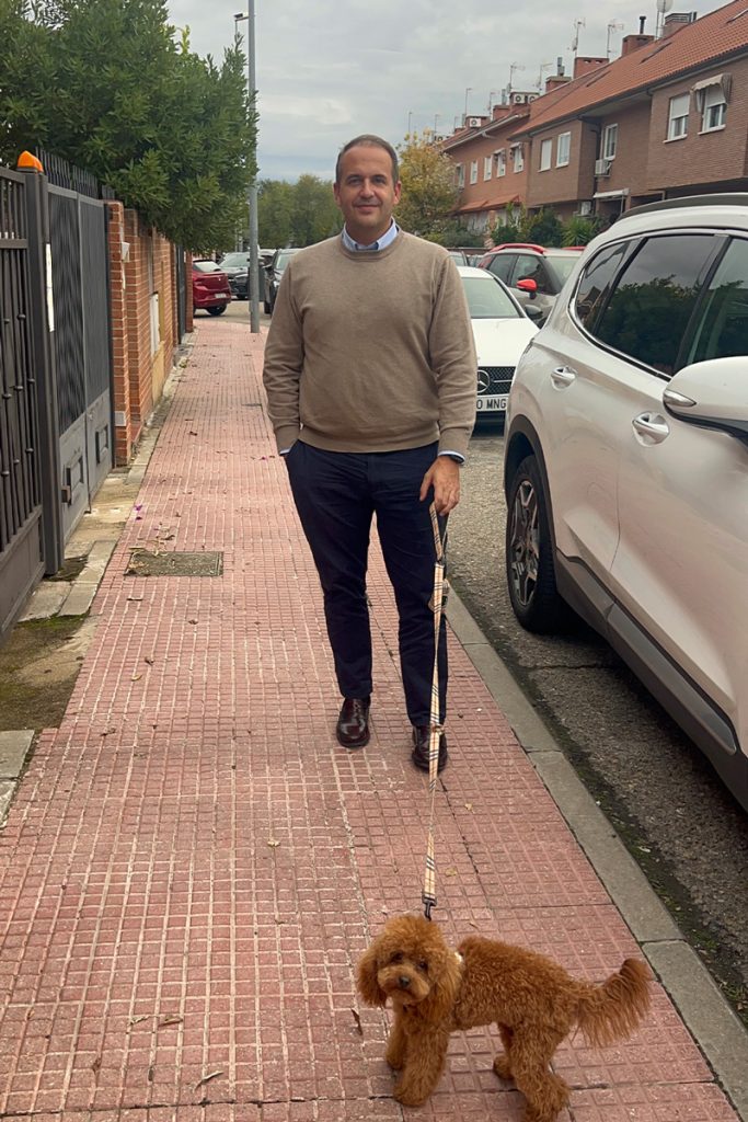 corte pelo coco caniche toy studio stilo