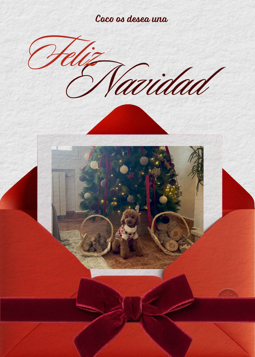 navidad studio stilo 25